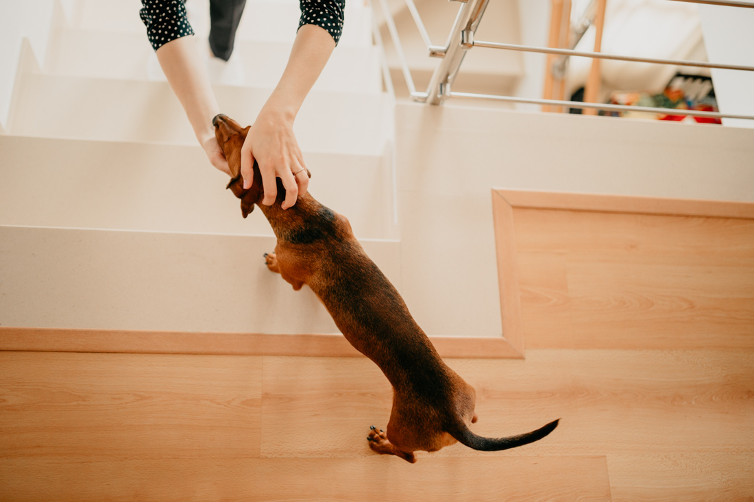 FOTOGRAFO BODA TARRAGONA